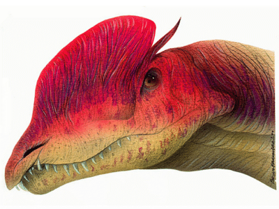 Dilophosaurus © Bruno Hernandez. Verwendet mit freundlicher Genehmigung des Autors.