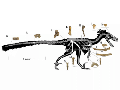 Rekonstruktion / Jasinski et al.