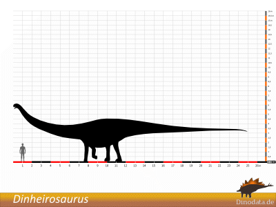 Größenvergleich © Dinodata.de. Creative Commons 4.0 International (CC BY 4.0)