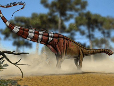 Dinheirosaurus / © Felipe Alves Elias Dinheirosaurus / © Felipe Alves Elias. Verwendet mit freundlicher Genehmigung des Autors.