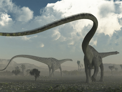 Diplodocus / © Raul Lunia. Verwendet mit freundlicher Genehmigung des Autors