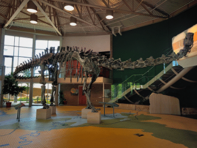 Skelett des Diplodocus / Mark Stevens. Creative Commons NonCommercial-ShareAlike 2.0 Generic (CC BY-NC-SA 2.0)