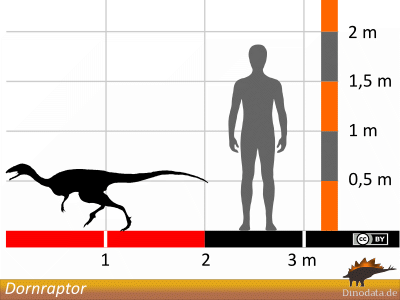 Größenvergleich / Dinodata.de. Creative Commons 4.0 International (CC BY 4.0)