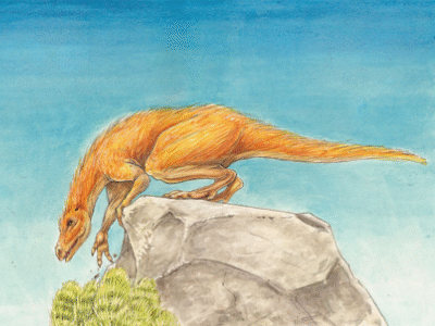 Dornraptor / © Megan Williams Dornraptor / © Megan Williams