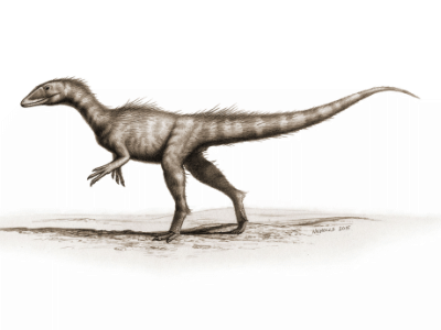 Dracoraptor / Bob Nichols. Creative Commons 4.0 International (CC BY 4.0) Dracoraptor / Bob Nichols. Creative Commons 4.0 International (CC BY 4.0)
