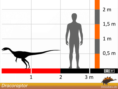 Größenvergleich / Dinodata.de. Creative Commons 4.0 International (CC BY 4.0)