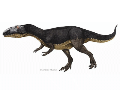 Dubreuillosaurus / © Andrey Atuchin. Verwendet mit freundlicher Genehmigung des Autors.