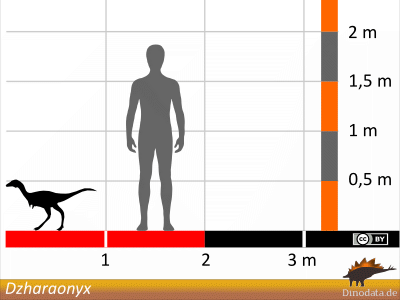 Größenvergleich / Dinodata.de. Creative Commons 4.0 International (CC BY 4.0)