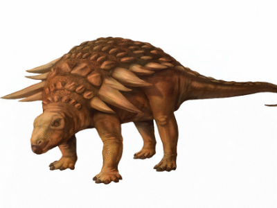 Edmontonia / © Karen Carr Edmontonia / © Karen Carr. Verwendet mit freundlicher Genehmigung des Autorin.