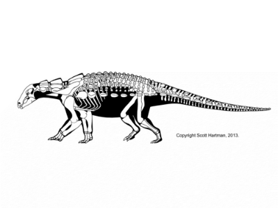 Edmontonia / © Scott Hartman. Verwendet mit freundlicher Genehmigung des Autors. Edmontonia / © Scott Hartman. Verwendet mit freundlicher Genehmigung des Autors.