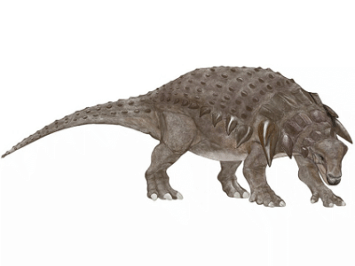 Edmontonia / © Mineo Shiraishi. Verwendet mit freundlicher Genehmigung des Autors. Edmontonia / © Mineo Shiraishi. Verwendet mit freundlicher Genehmigung des Autors.