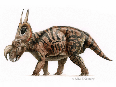 Einiosaurus / © Julius T. Csotonyi Einiosaurus / © Julius T. Csotonyi. Verwendet mit freundlicher Genehmigung des Autors.
