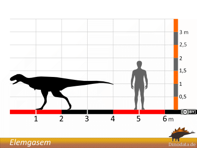 Größenvergleich / Dinodata.de. Creative Commons 4.0 International (CC BY 4.0) Größenvergleich / Dinodata.de. Creative Commons 4.0 International (CC BY 4.0)