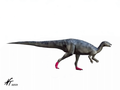 Elrhazosaurus / © N. Tamura Elrhazosaurus / © N. Tamura