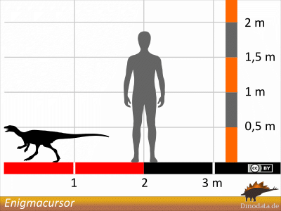 Größenvergleich / © Dinodata.de Größenvergleich / © Dinodata.de