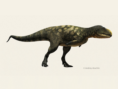Eoabelisaurus / © Andrey Atuchin. Verwendet mit freundlicher Genehmigung des Autors. Eoabelisaurus / © Andrey Atuchin. Verwendet mit freundlicher Genehmigung des Autors.