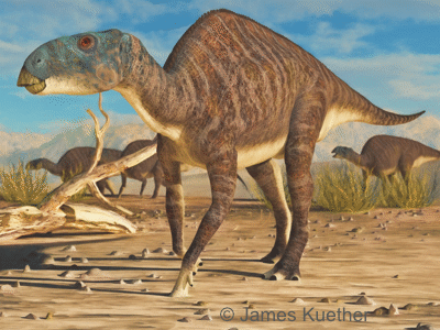 Eotrachodon / © James Kuether. Verwendet mit freundlicher Genehmigung des Autors