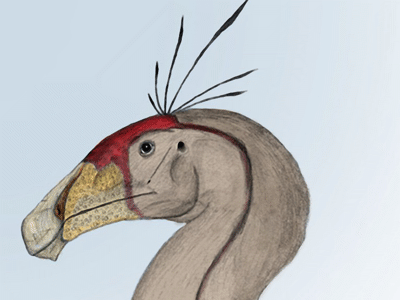 Erlikosaurus / © Matt Martyniuk Erlikosaurus / © Matt Martyniuk. Verwendet mit freundlicher Genehmigung des Autors.