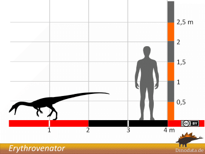 Größenvergleich / Dinodata.de. Creative Commons 4.0 International (CC BY 4.0) Größenvergleich / Dinodata.de. Creative Commons 4.0 International (CC BY 4.0)