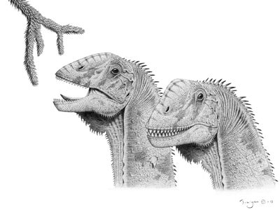 Euhelopus / © Tomas Wigren. Creative Commons 4.0 International (CC BY 4.0) Euhelopus / © Tomas Wigren. Creative Commons 4.0 International (CC BY 4.0)