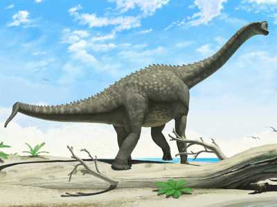 Europasaurus / © Andrey Atuchin Europasaurus / © Andrey Atuchin. Verwendet mit freundlicher Genehmigung des Autors.