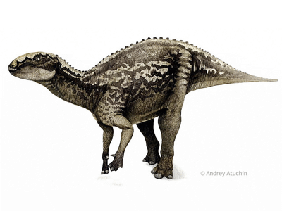 Fukuisaurus / © Andrey Atuchin. Verwendet mit freundlicher Genehmigung des Autors. Fukuisaurus / © Andrey Atuchin. Verwendet mit freundlicher Genehmigung des Autors.
