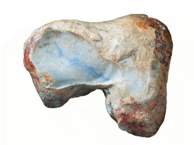 Oberschenkelfragment / © Poropat et al. Oberschenkelfragment / © Poropat et al.