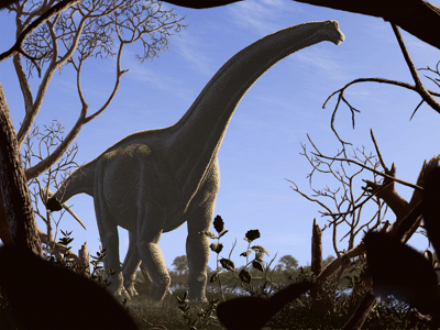 Futalognkosaurus / © Julius Csotonyi. Verwendet mit freundlicher Genehmigung des Autors. Futalognkosaurus / © Julius Csotonyi. Verwendet mit freundlicher Genehmigung des Autors.