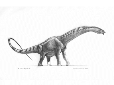 Futalongkosaurus / © Fabio Pastori Futalongkosaurus / © Fabio Pastori. Verwendet mit freundlicher Genehmigung des Autors.
