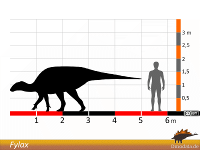 Größenvergleich / © Dinodata.de