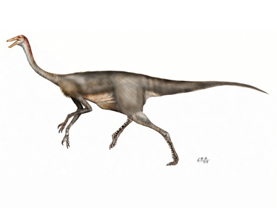 Gallimimus / © Sergio Perez. Verwendet mit freundlicher Genehmigung des Autors.