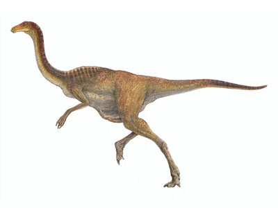 Gallimimus / © Bruno Hernandez. Verwendet mit freundlicher Genehmigung des Autors.