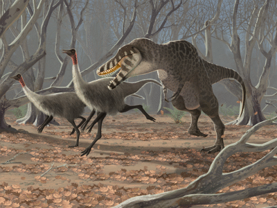 Gallimimus & Tarbosaurus / © John Conway: