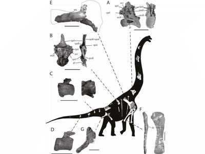 Rekonstruktion / © Pérez-Pueyo et al. Rekonstruktion / © Pérez-Pueyo et al.
