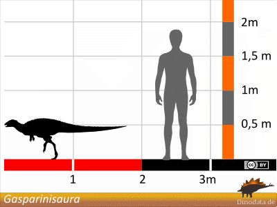 Größenvergleich / © Dinodata.de Größenvergleich / © Dinodata.de