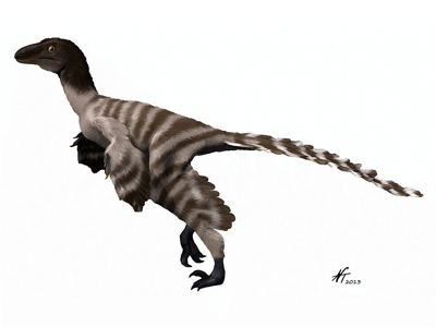 Geminiraptor / © N. Tamura.  Verwendet mit freundlicher Genehmigung des Autors.