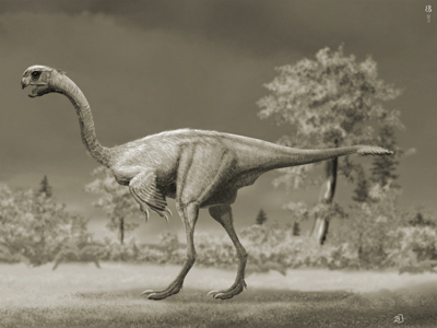 Gigantoraptor / © Beate Basner. Verwendet mit freundlicher Genehmigung der Autorin.