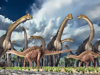 Giraffatitan, Dicraeosaurus & Kentrosaurus / © James Kuether. Verwendet mit freundlicher Genehmigung des Autors Giraffatitan, Dicraeosaurus & Kentrosaurus / © James Kuether. Verwendet mit freundlicher Genehmigung des Autors