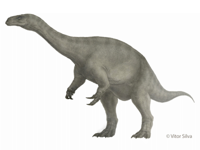 Glacialisaurus / © Vitor Silva Glacialisaurus / © Vitor Silva. Verwendet mit freundlicher Genehmigung des Autors.