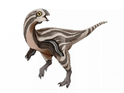Gobiraptor / © Do Yoon Kim