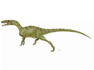 Gojirasaurus / © Mineo Shiraishi Gojirasaurus / © Mineo Shiraishi. Verwendet mit freundlicher Genehmigung des Autors.