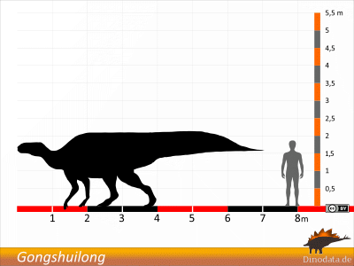 Größenvergleich / © Dinodata.de
