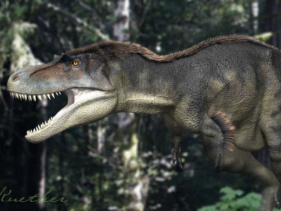 Gorgosaurus / © James Kuether. Verwendet mit freundlicher Genehmigung des Autors. Gorgosaurus / © James Kuether. Verwendet mit freundlicher Genehmigung des Autors.