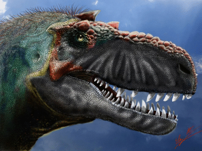 Gorgosaurus / © Eloy Manzero. Verwendet mit freundlicher Genehmigung des Autors. Gorgosaurus / © Eloy Manzero. Verwendet mit freundlicher Genehmigung des Autors.