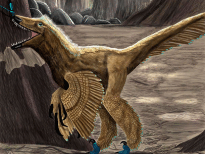 Graciliraptor / © vasix. Creative Commons NonCommercial-NoDerivs 3.0 Unported (CC BY-NC-ND 3.0) Graciliraptor / © vasix. Creative Commons NonCommercial-NoDerivs 3.0 Unported (CC BY-NC-ND 3.0)