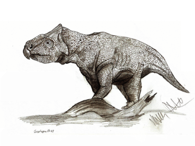 Gryphoceratops / © Robinson Kunz Gryphoceratops / © Robinson Kunz. Verwendet mit freundlicher Genehmigung des Autors.