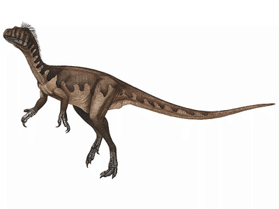 Guaibasaurus / © Andrey Atuchin. Verwendet mit freundlicher Genehmigung des Autors. Guaibasaurus / © Andrey Atuchin. Verwendet mit freundlicher Genehmigung des Autors.