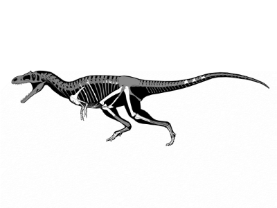 Gualicho
 / © J. González. Creative Commons 4.0 International (CC BY 4.0)
