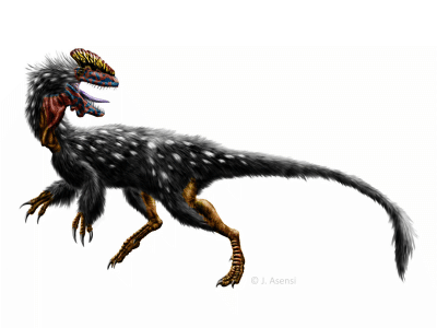 Guanlong / © Josep Asensi. Verwendet mit freundlicher Genehmigung des Autors.