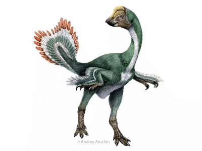 Hagryphus / © Andrey Atuchin. Verwendet mit freundlicher Genehmigung des Autors.